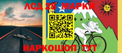 apvp Бийск