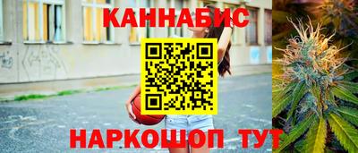apvp Бийск