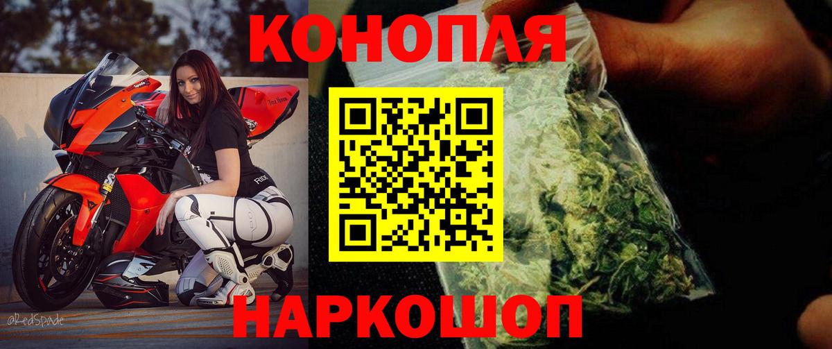 Бошки марихуана план  Вход с VPN  Бошки Шишки Amnesia  Берёзовский  Бошки Шишки SATIVA & INDICA 